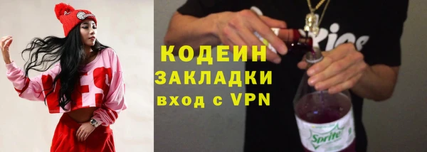 гидра Арсеньев