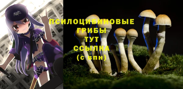 COCAINE Балабаново