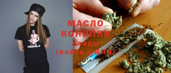 гидра Арсеньев