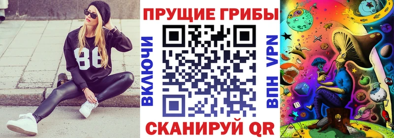 как найти закладки  Белёв  KRAKEN рабочий сайт  Галлюциногенные грибы Cubensis 